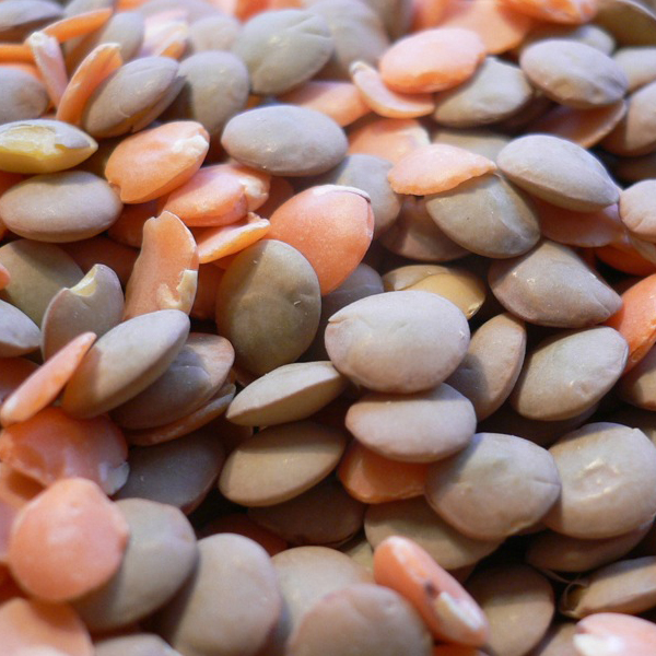 Try to find the best ways to lose weight? Eating these metabolism-boosting superfoods will help you naturally burn crazy amounts of fat. #superfood #diet #healthysnacks