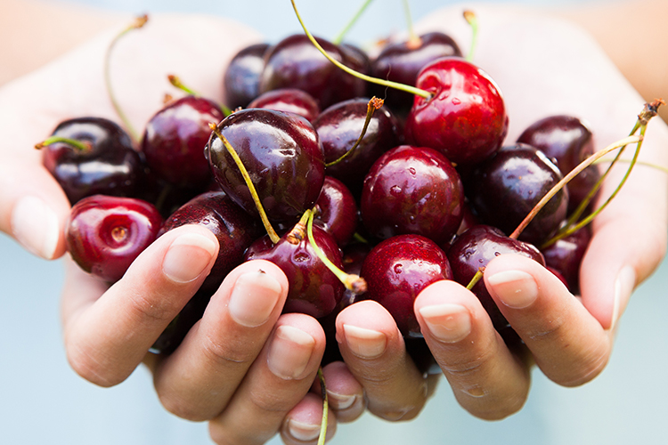 I've gotta tell you about these easy, no-exercise weight loss tips to burn fat! Make these simple changes to your diet and lifestyle to slim down and get that beach-bod for summer without setting a foot in the gym!